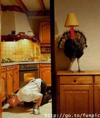 turkeylamp